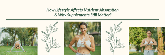 How Lifestyle Affects Nutrient Absorption & Why Supplements Still Matter?